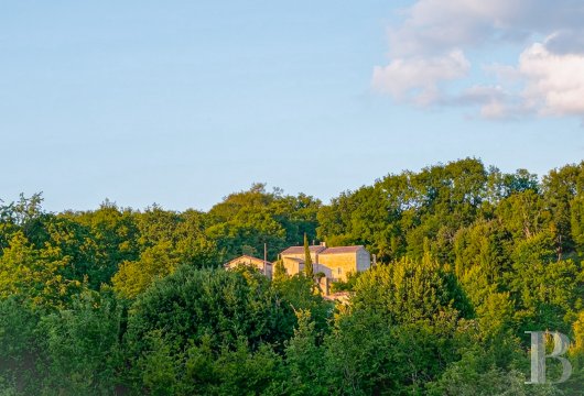 chateaux a vendre aquitaine   - 27