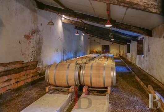 chateaux a vendre aquitaine   - 17