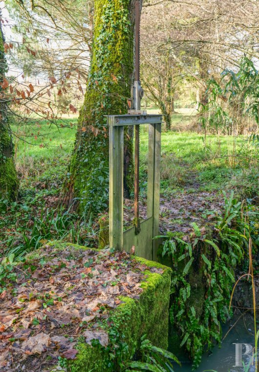 chateaux a vendre aquitaine   - 26