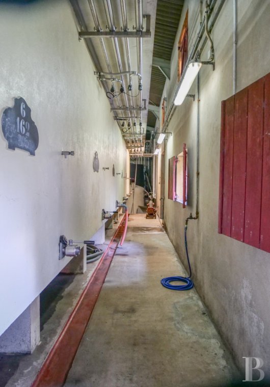 chateaux a vendre aquitaine   - 16