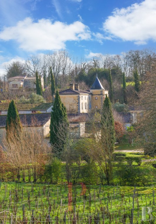 chateaux a vendre aquitaine   - 22