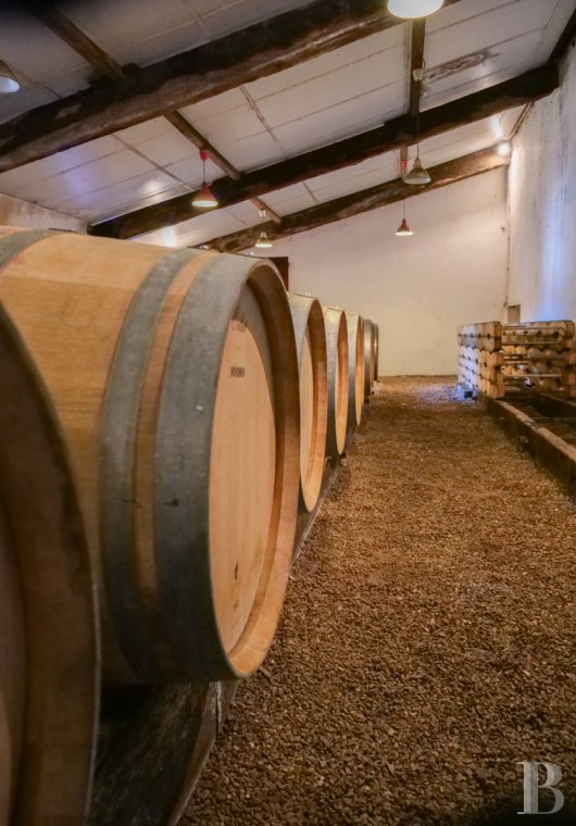 chateaux a vendre aquitaine   - 19