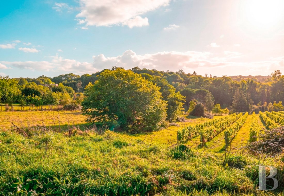 chateaux a vendre aquitaine   - 24