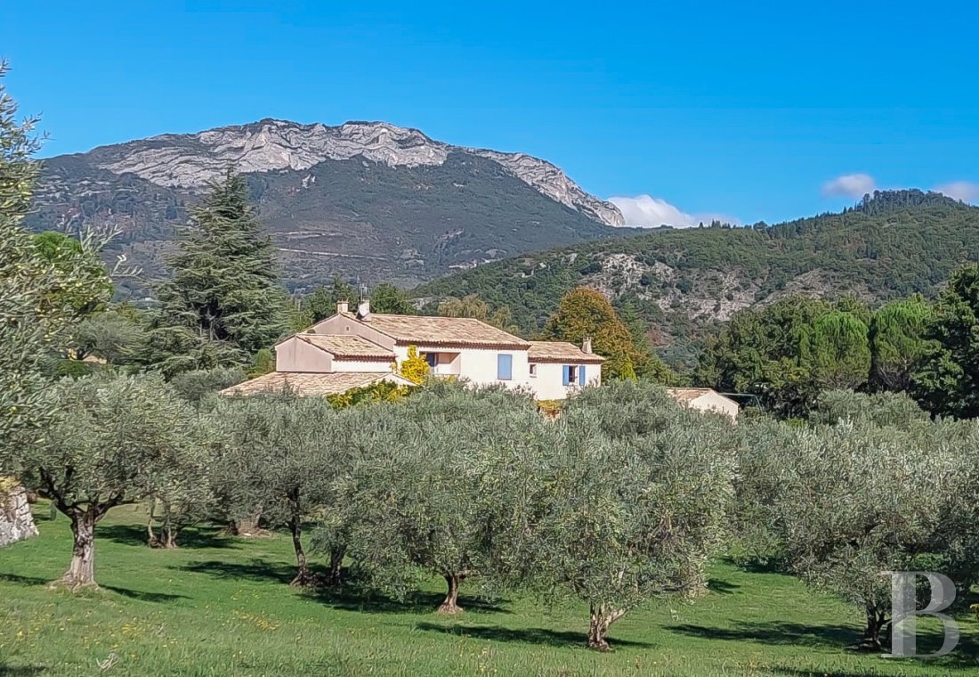 mas a vendre paca   - 1