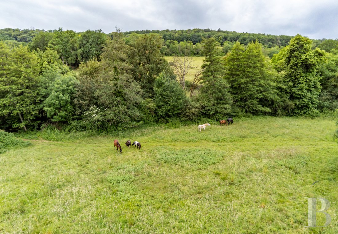 moulins a vendre bourgogne   - 28