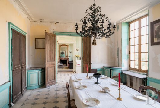 chateaux for sale France center val de loire   - 12