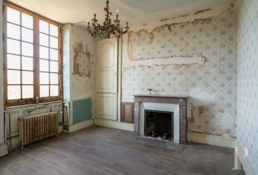 chateaux for sale France center val de loire   - 17