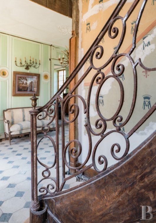 chateaux for sale France center val de loire   - 8