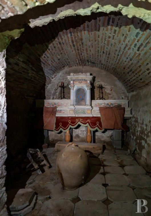 chateaux for sale France center val de loire   - 21