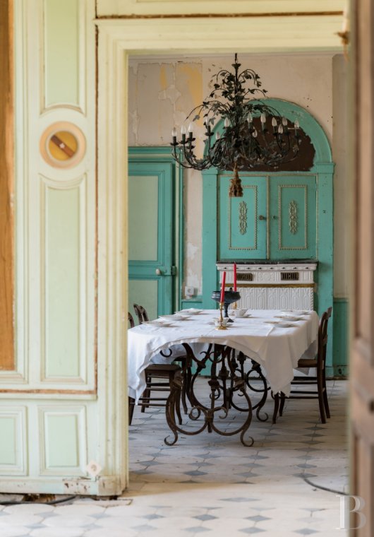 chateaux for sale France center val de loire   - 13