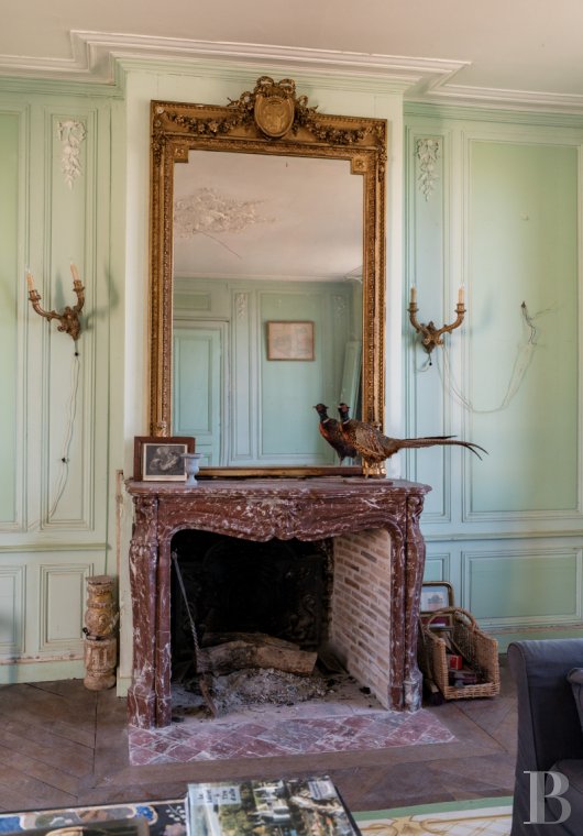 chateaux for sale France center val de loire   - 15