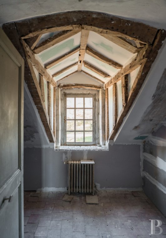 chateaux for sale France center val de loire   - 19