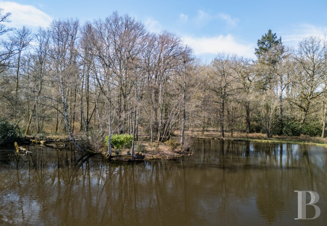 chateaux for sale France center val de loire   - 30