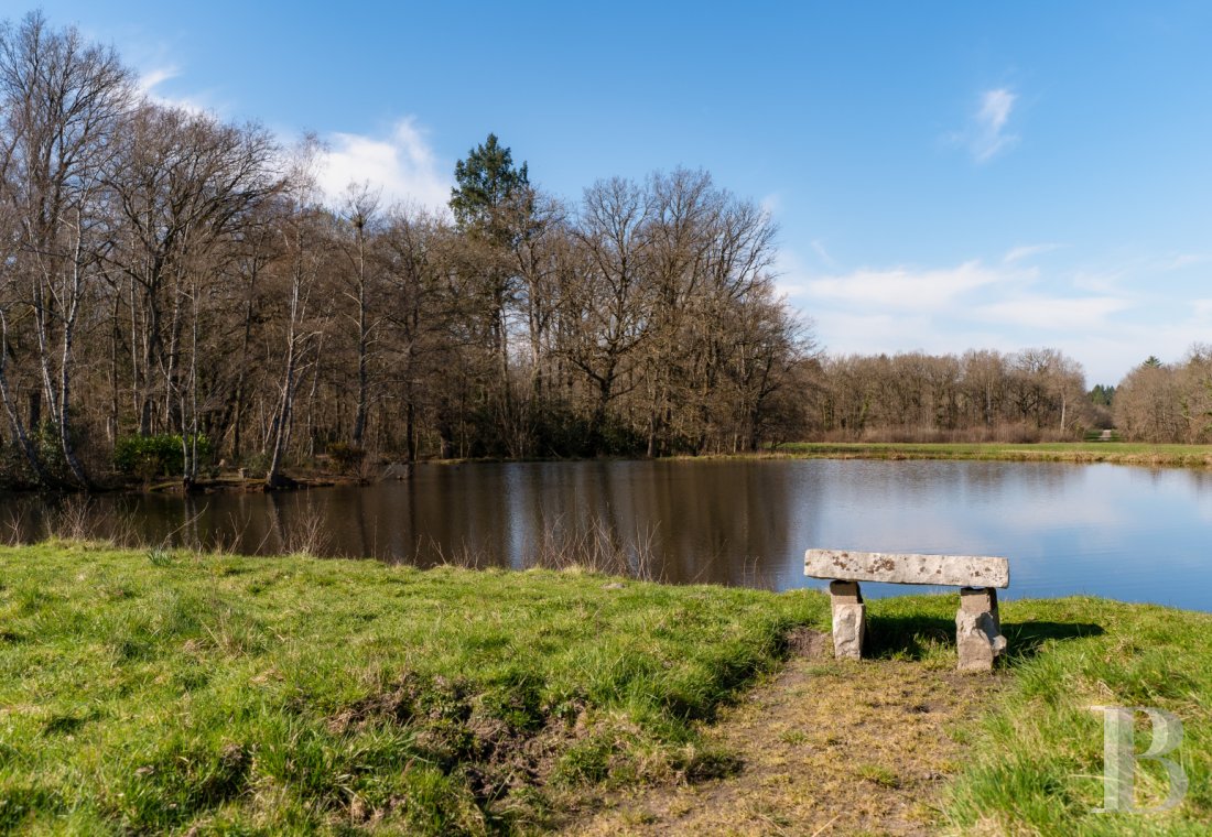 chateaux for sale France center val de loire   - 31