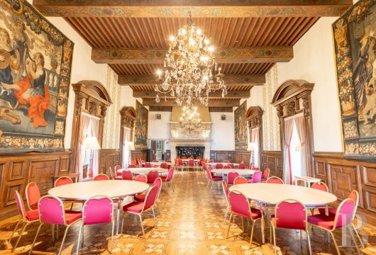 chateaux for sale France rhones alps   - 8