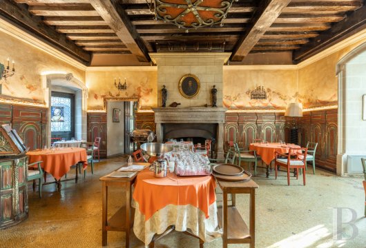 chateaux for sale France rhones alps   - 7