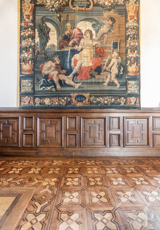 chateaux for sale France rhones alps   - 9