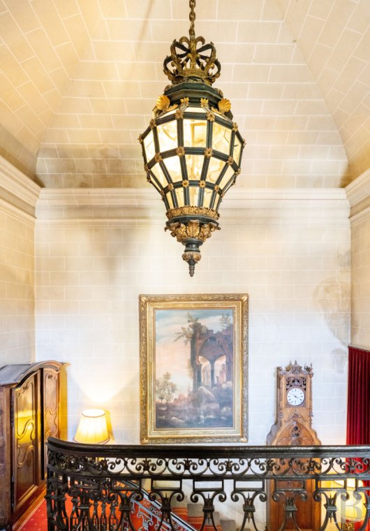 chateaux for sale France rhones alps   - 10