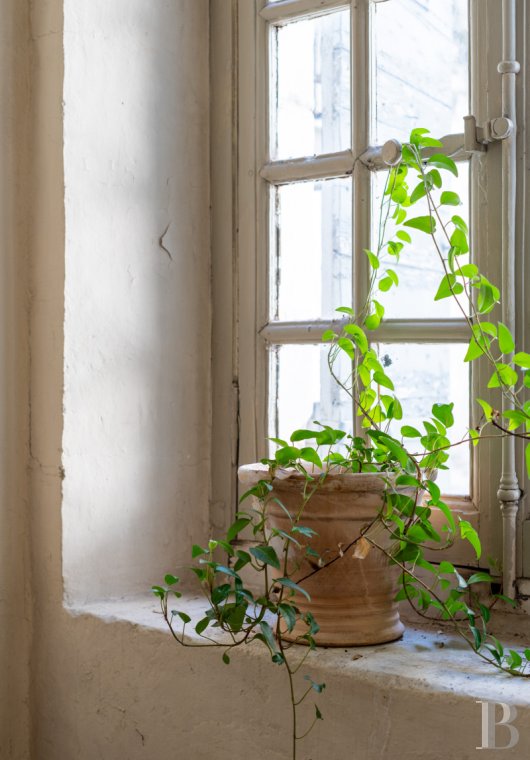 mansion houses for sale France provence cote dazur   - 8