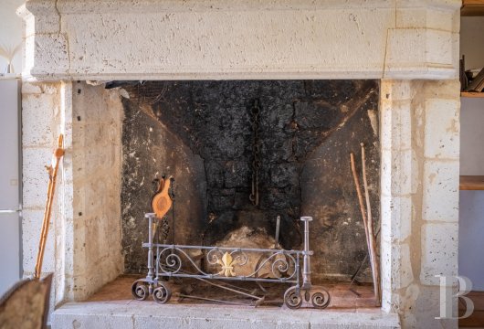 chateaux for sale France midi pyrenees   - 13