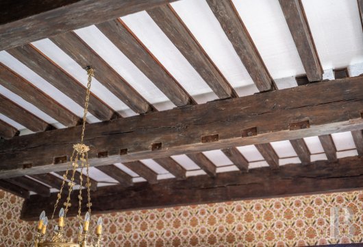 chateaux for sale France midi pyrenees   - 17