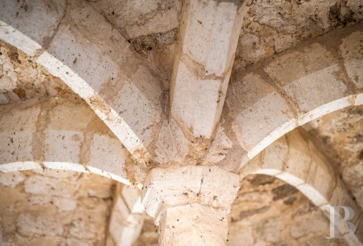 chateaux for sale France midi pyrenees   - 14