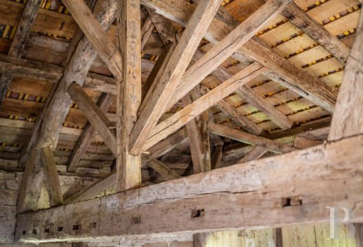 chateaux for sale France midi pyrenees   - 19