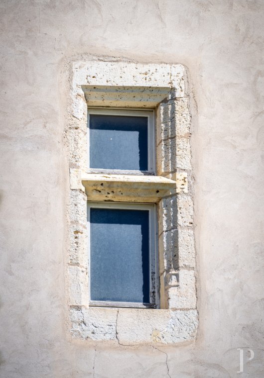 chateaux for sale France midi pyrenees   - 22