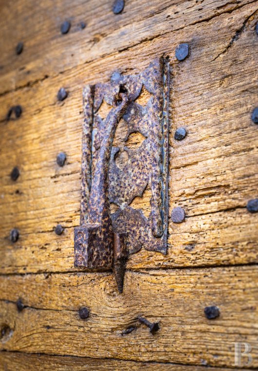 chateaux for sale France midi pyrenees   - 5