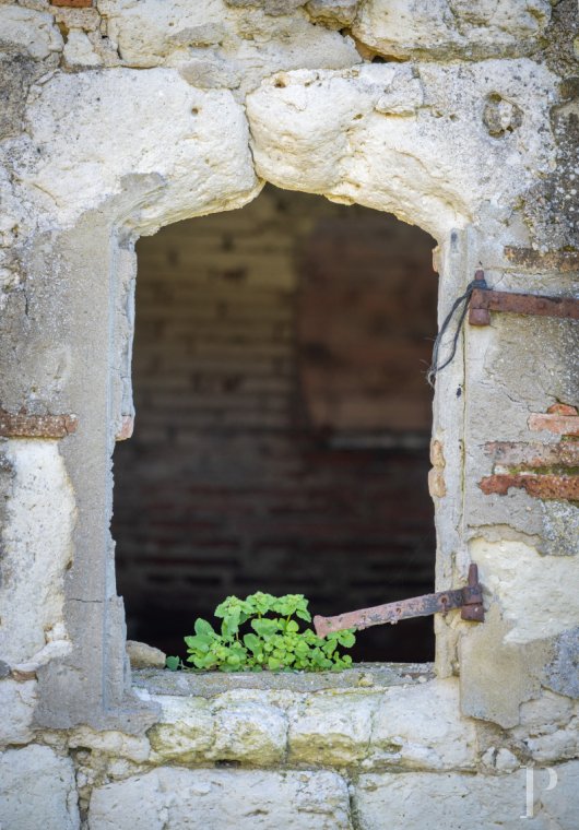 chateaux for sale France midi pyrenees   - 18