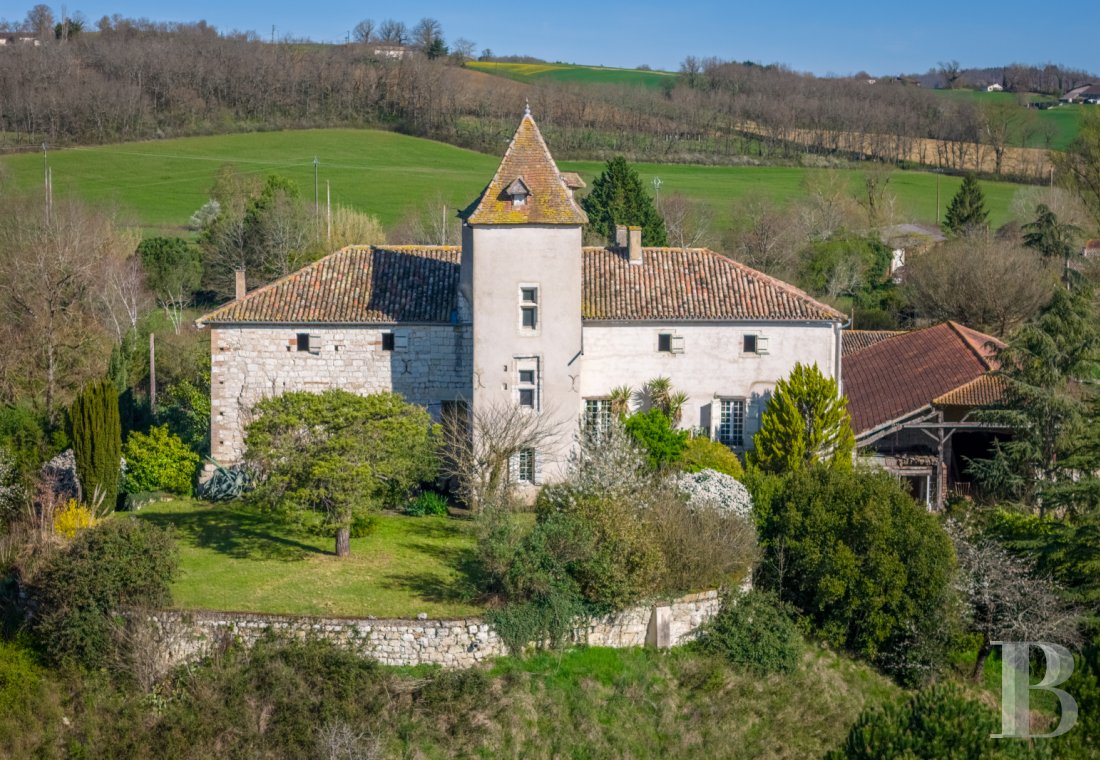 chateaux for sale France midi pyrenees   - 1