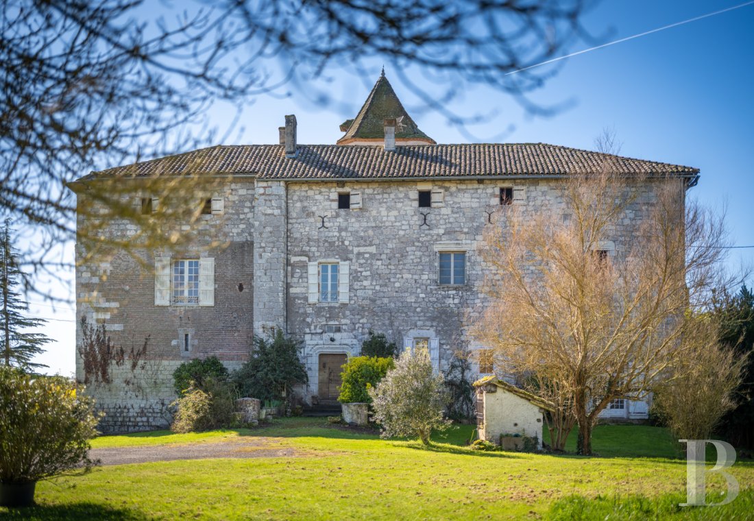 chateaux for sale France midi pyrenees   - 24