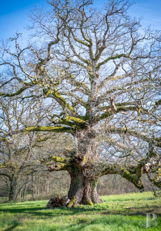 character properties France aquitaine   - 14