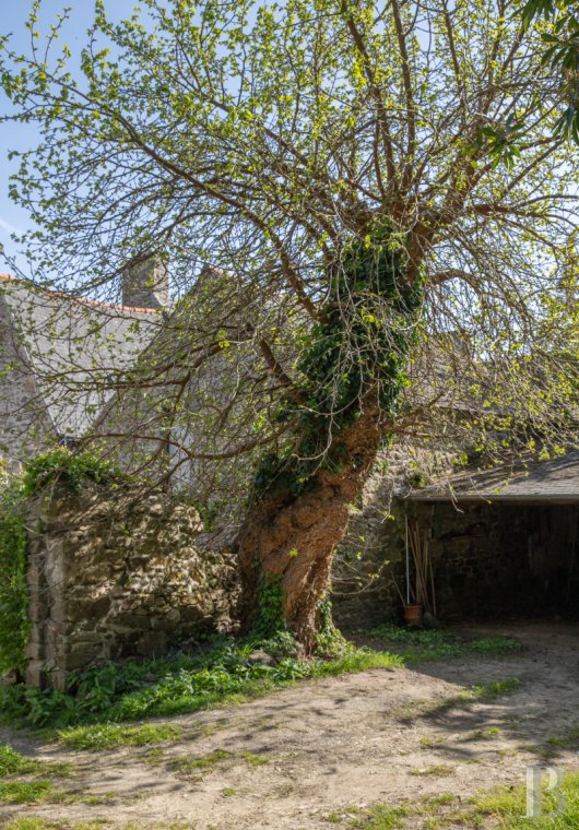 property for sale France brittany   - 10