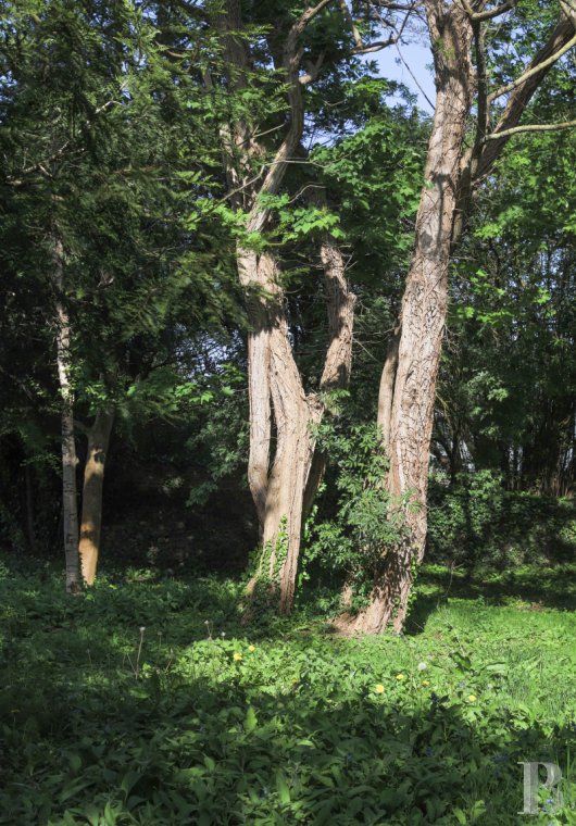 property for sale France brittany   - 9