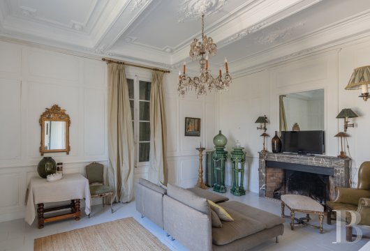 chateaux for sale France languedoc roussillon   - 10