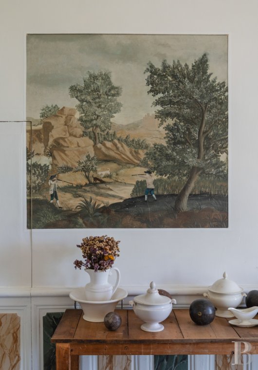 chateaux for sale France languedoc roussillon   - 9