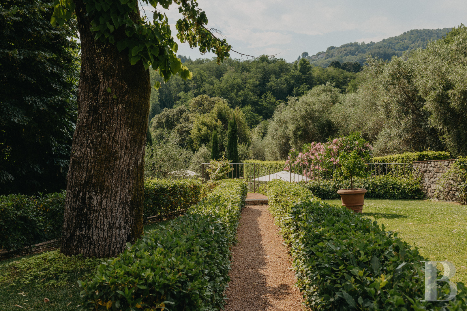 Stay in an old farmhouse nestled between the sea and the mountains north of Lucca, in Tuscany - photo  n°25