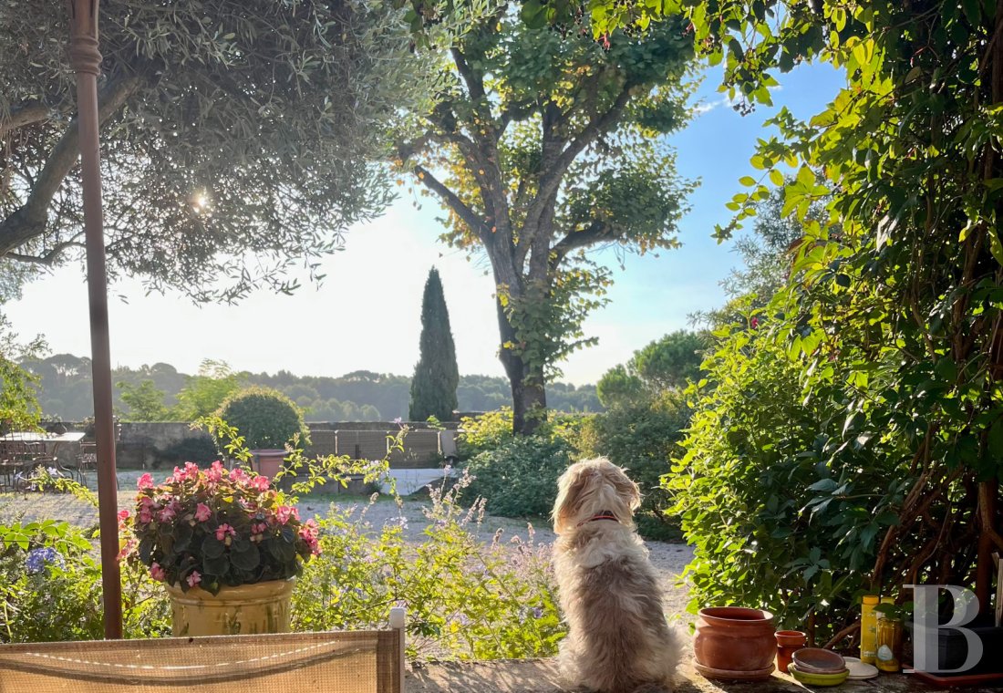 traditional mas house for sale languedoc roussillon   - 6