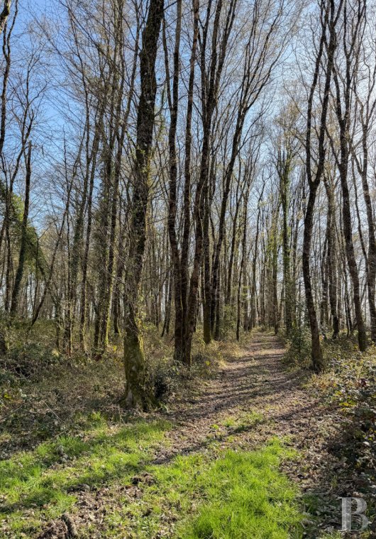 manoirs a vendre centre val de loire   - 19
