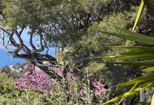 Au Pradet, à 700 m de la plage, une villa de 177 m² restaurée en 2022, avec agrandissement possible, et sa piscine, sur un terrain arboré de 540 m² 