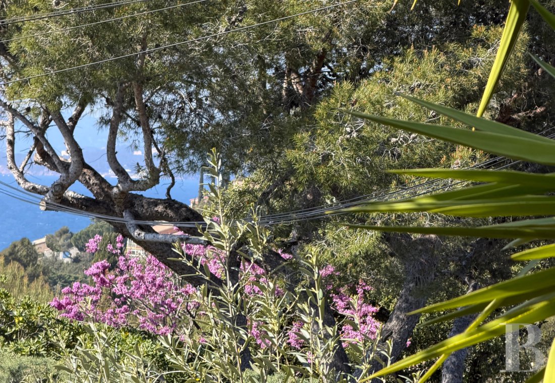 properties with sea view provence cote dazur   - 1