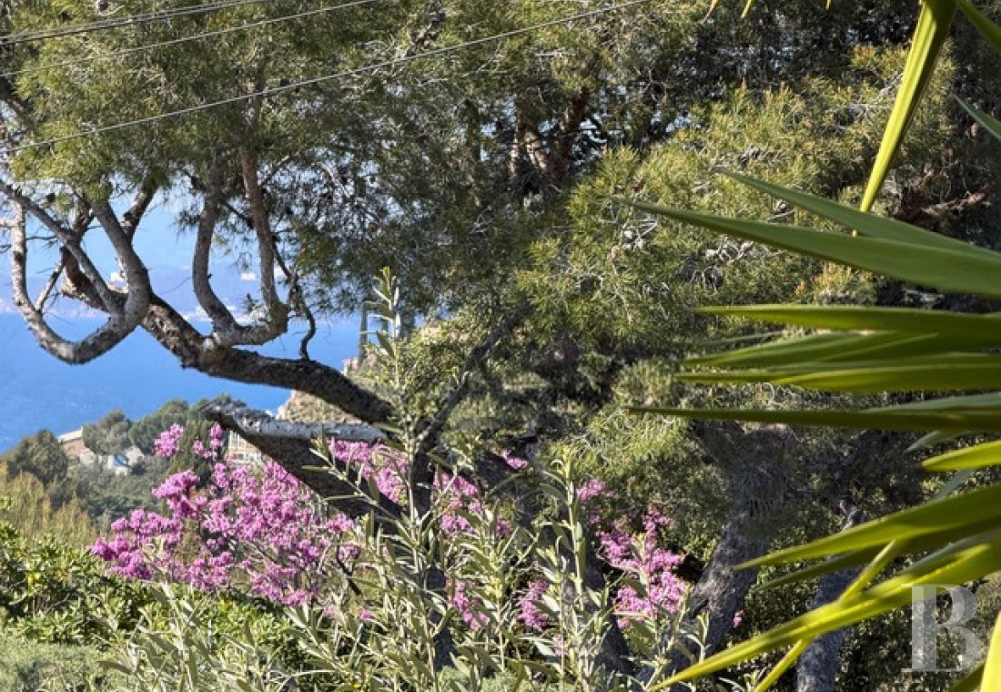 biens avec vue sur mer paca   - 1
