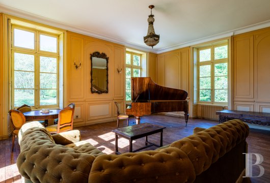 chateaux a vendre poitou charentes   - 7