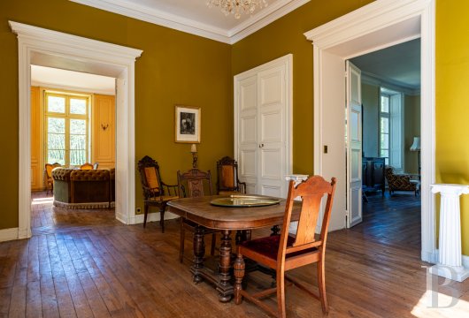 chateaux a vendre poitou charentes   - 11