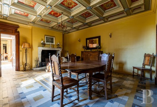 chateaux a vendre poitou charentes   - 9