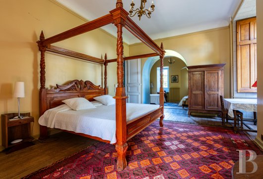 chateaux a vendre poitou charentes   - 21