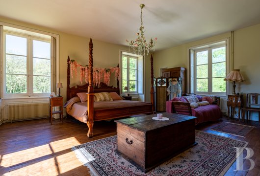 chateaux a vendre poitou charentes   - 17