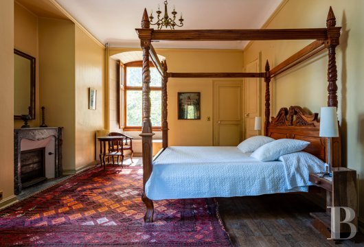 chateaux a vendre poitou charentes   - 15