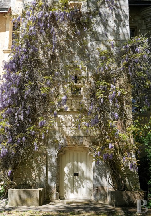 chateaux a vendre poitou charentes   - 28